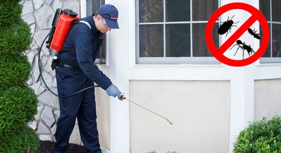 Yakutiye Karınca İlaçlama böcek ilaçlama ve haşere kontrolü — ilaclama-tr.com